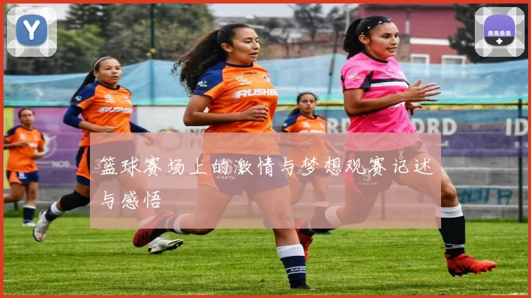 篮球赛场上的激情与梦想观赛记述与感悟