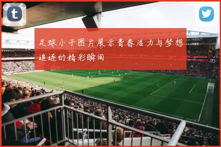 足球小子图片展示青春活力与梦想追逐的精彩瞬间